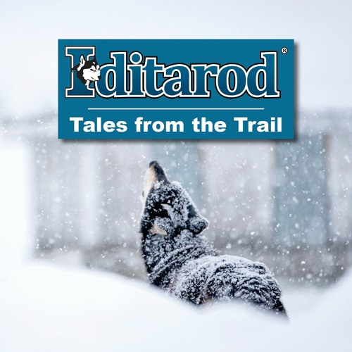 The Iditarod’s avatar