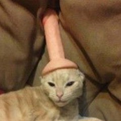 Pussy,N,Boobs