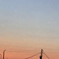 𝐜𝐞𝐥𝐢𝐧𝐞