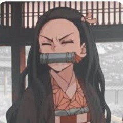 (◍•ᴗ•◍)