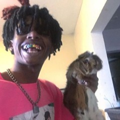 ZillaKami
