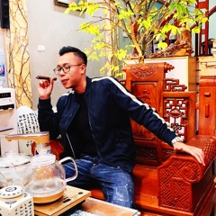 Lâm Huy 294