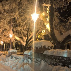 Neve