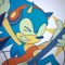🌭 Sonic !! • SilliBlueBlur