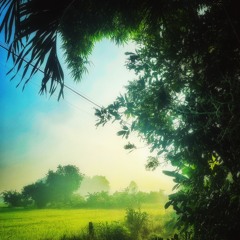 Đạt Phạm🌾