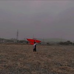 Nam Nguyễn