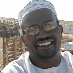 الطيب محجوب