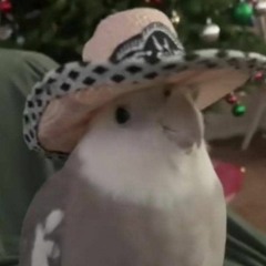 Erf