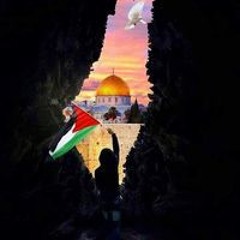 Hager Maghraby