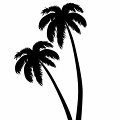 Palmpoint