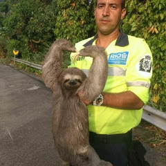 ぽまいらノッてるか~♪