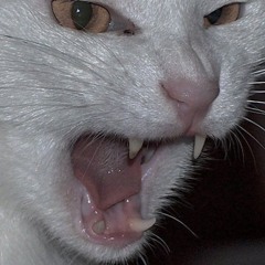 silvah