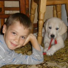 boGdan