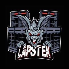 Lapstek23