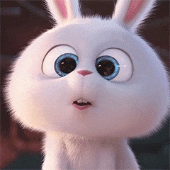 송