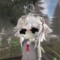imgonegng