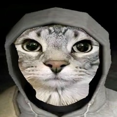 Artic.mapping on tiktok