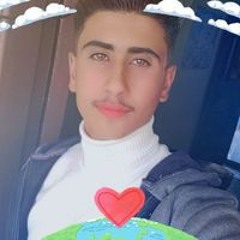 محمود السيد يوسف