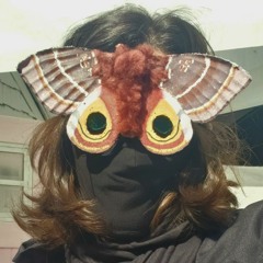 Saturnia, Emperor Moth