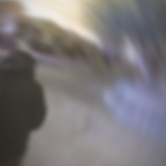 yvngisellee