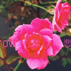 sorrow