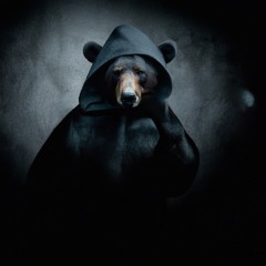 Bear Beat
