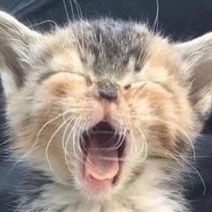 nightmzare