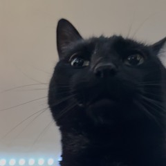 TRIPPIN (prod. @fiftyzeros @rj pasin)