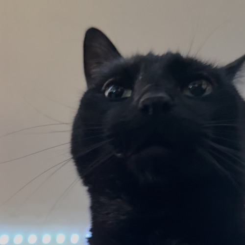 TRIPPIN (prod. @fiftyzeros @rj pasin)