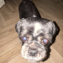 Sophie