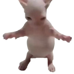 632