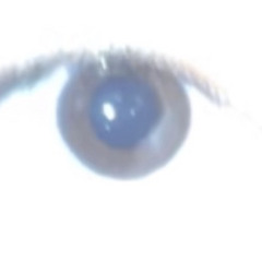 titan_holefish