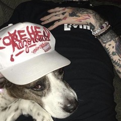 simpdog2k