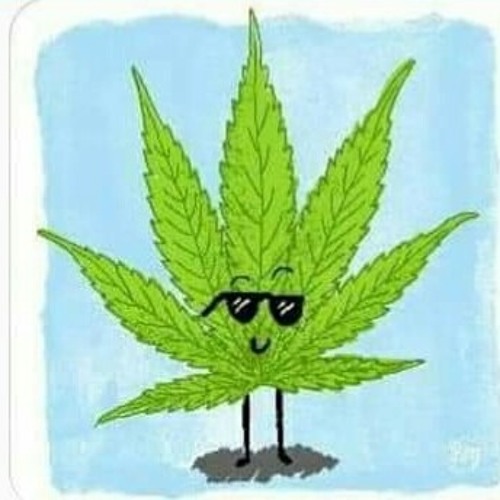 legalizati_iarba’s avatar