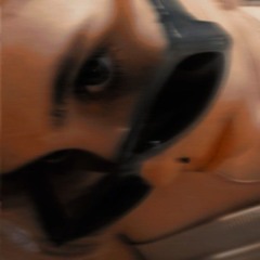 ilzipl