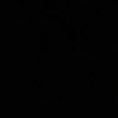 محمد صبحي عبد الغني