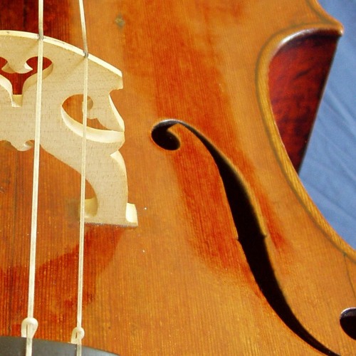 Daniel Daughtry-Weiss, baroque violoncello’s avatar