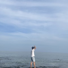 Maverick Night Phoenix