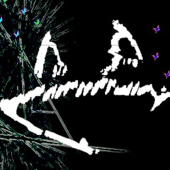 MyLittleExperiment