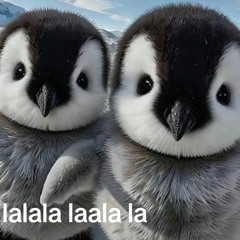 dong1003