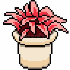 P O T plant