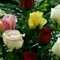 mohamed