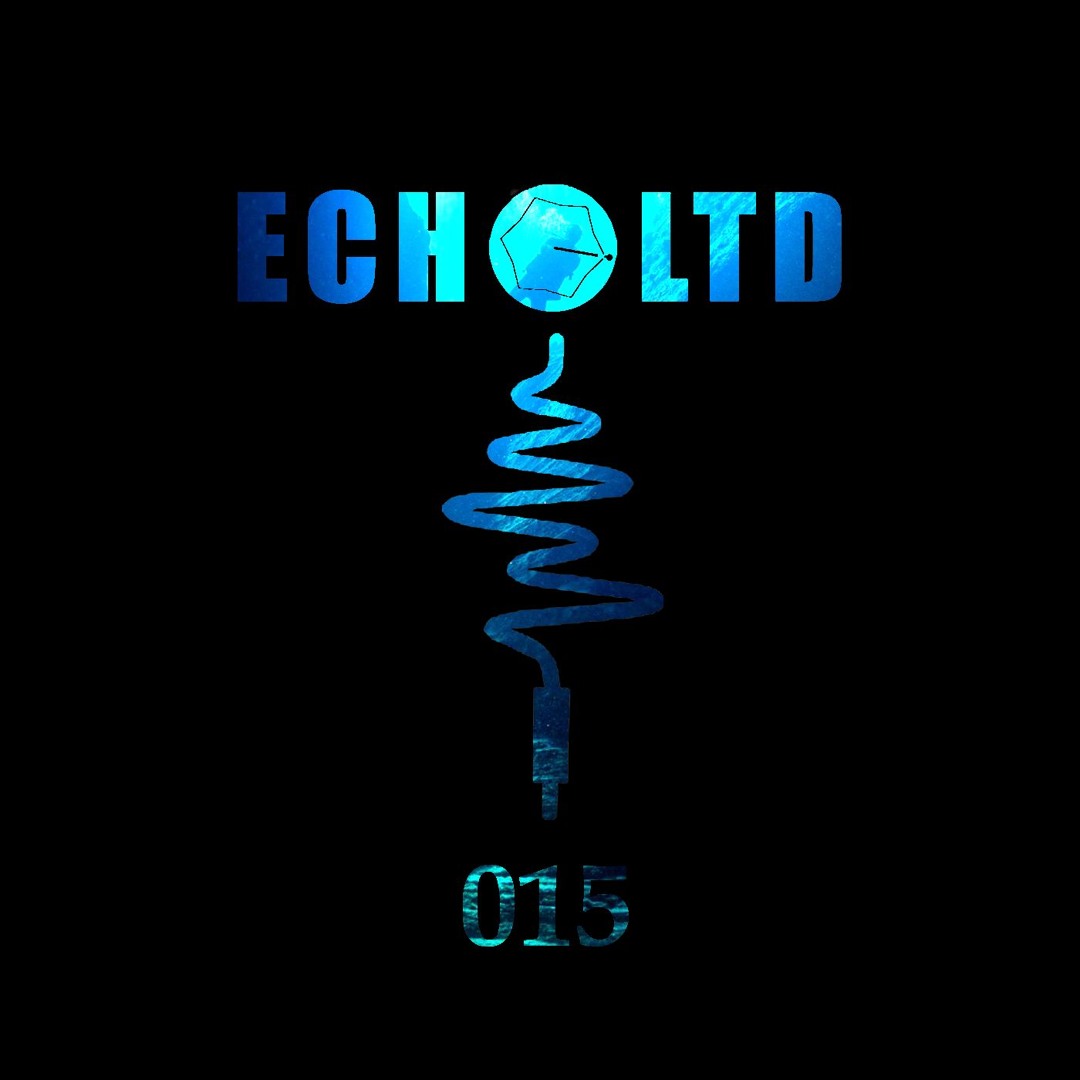 【CD】Echo エコー　LOCAL HITS FIC-009 ECHO LTD 009 EP | Frenk Dublin | ECHO LTD