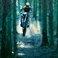 Александр Ковач