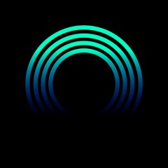 This Entangled Universe