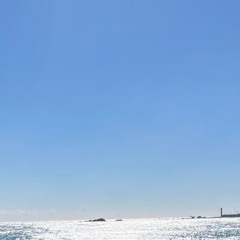 痺れた。／sibitto