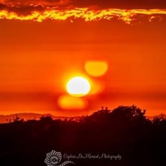 Denise Makarena Douglas