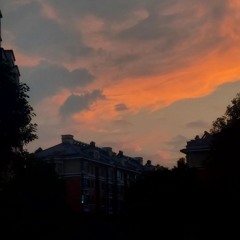 سورة الحجرات