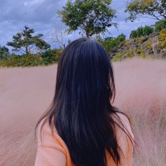 Ziv