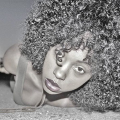 Chase the Camillion 🦎